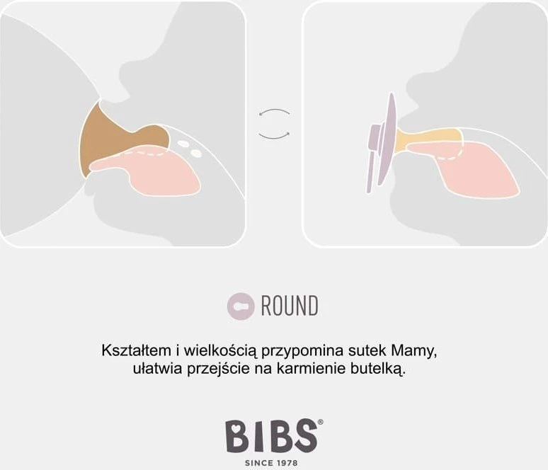 BIBS 18+ mėn. čiulptukai COLOUR, 2 vnt., Sage/Ivory