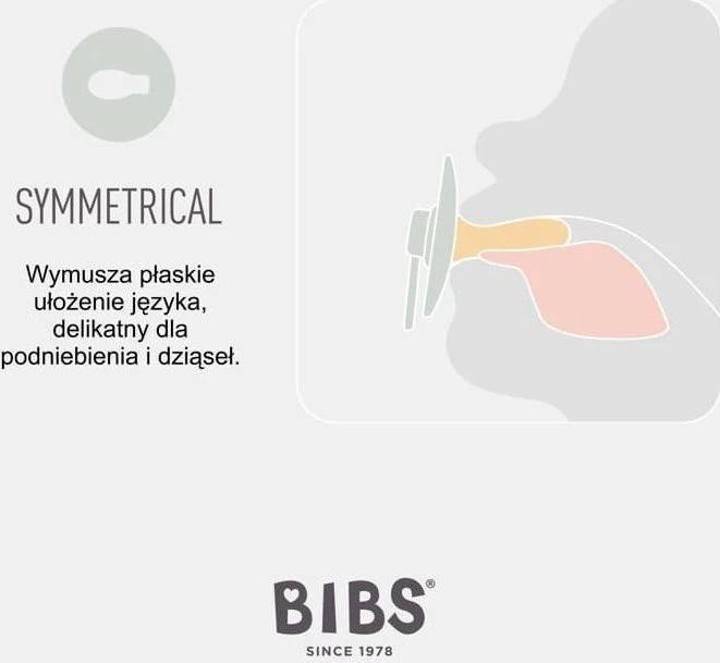 BIBS čiulptukų rinkinys 2 dydis (6 - 18 mėn.) Symmetrical Ivory / Blush