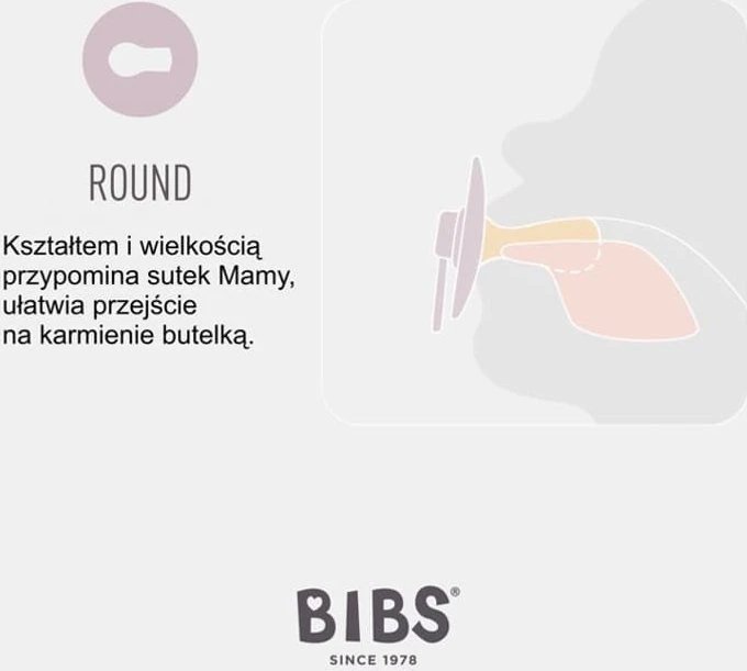 BIBS čiulptukų rinkinys 2 dydis (6 - 18 mėn.) Liberty Eloise Blush Mix