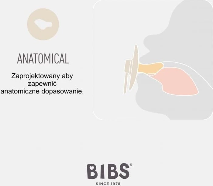 BIBS čiulptukų rinkinys 1 dydis (0 - 6 mėn.) Anatomical Ivory / Sage