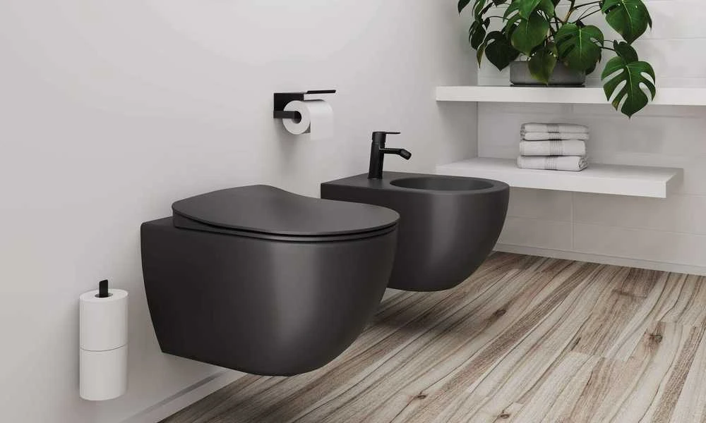 Pakabinama bidė Deante Peonia CDE_DBPW, Anthracite/Titanium