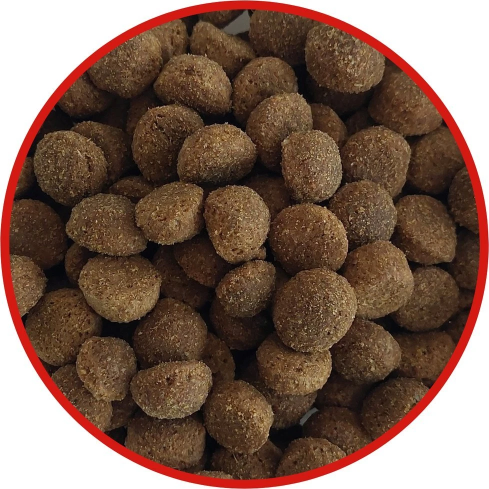 Sausas Šunų Maistas - BIOFEED Tasty Life Jautiena Vidutinio Ir Didelio Dydžio Veislėms 12kg