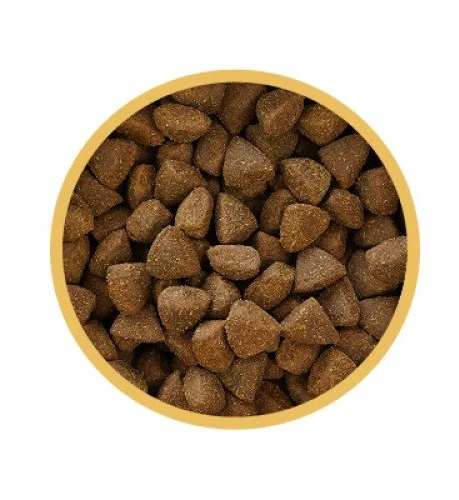 Šunų Maistas - BIOFEED Euphoria Fresh Junior Mini & Small kalakutiena 8kg
