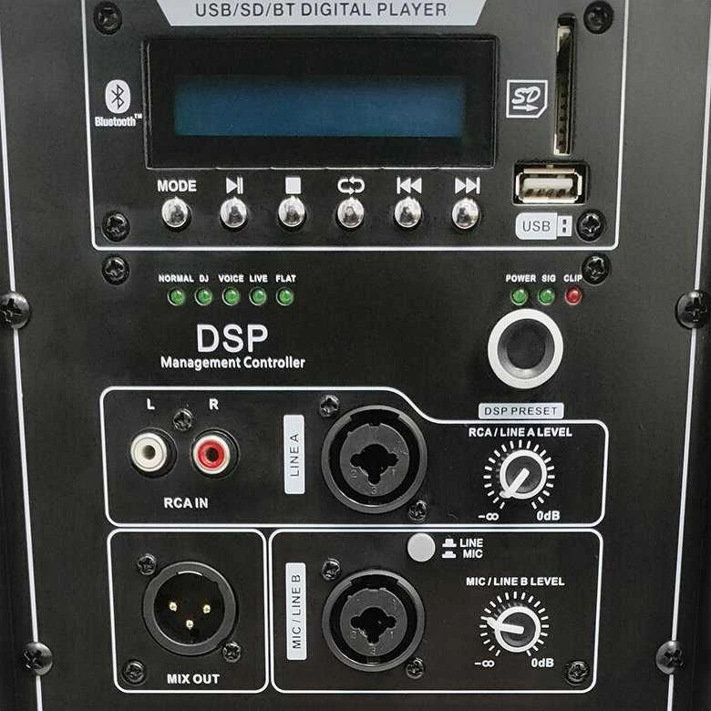 Kompiuterio kolonėlės Carruzzo DNA SPX12 DSP aktyvus garsiakalbis 12 colių