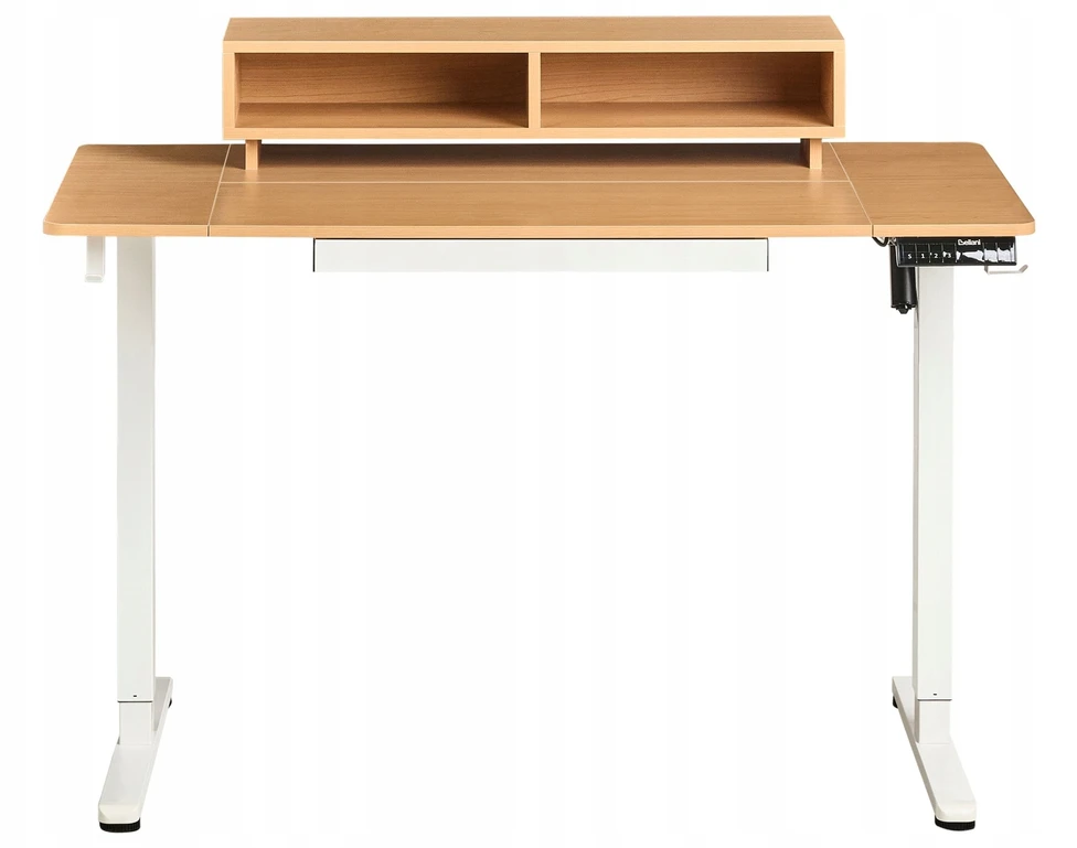 Beliani Elektriškai reguliuojamas stalas LUCAMA šviesiai ruda/balta 120 cm 60 cm su USB jungtimi