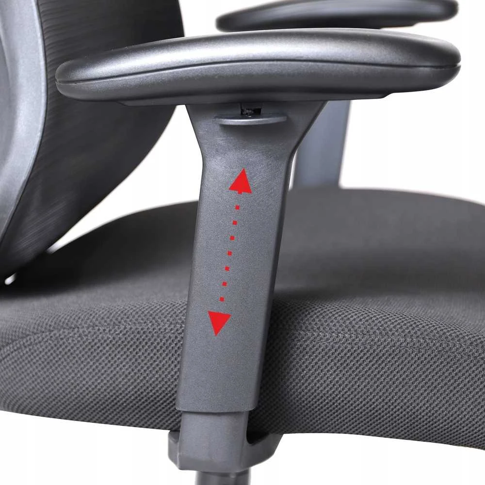 ART ERGONOMIC SUKIMAS BIRO KĖDĖ CH-01 Direktorius 05-21 val