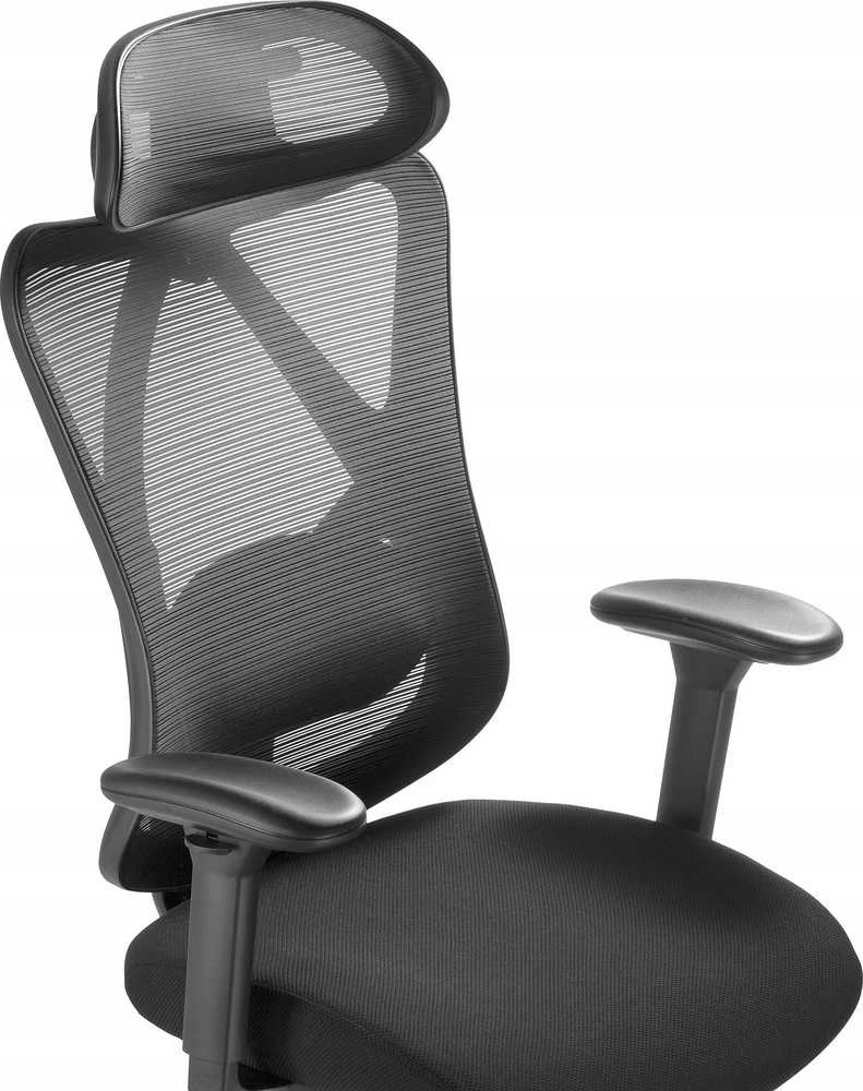 ART ERGONOMIC SUKIMAS BIRO KĖDĖ CH-01 Direktorius 05-21 val