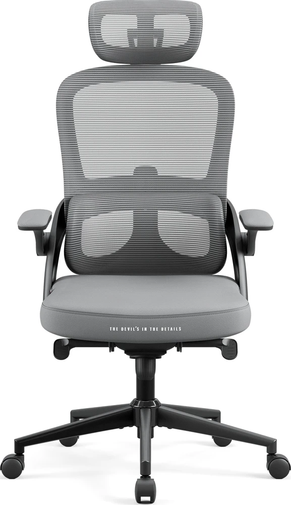 Ergonominė kėdė Diablo V, šviesiai pilka