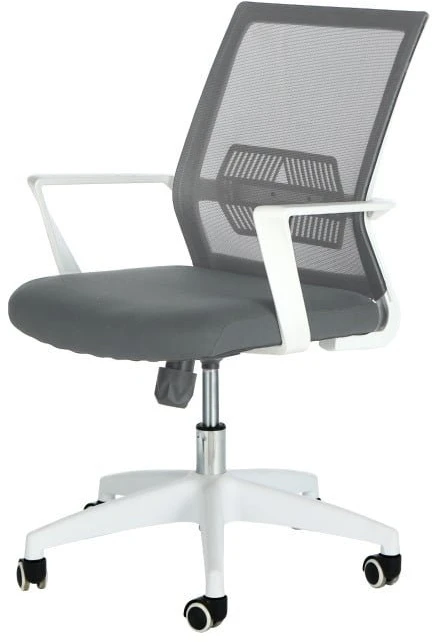 Biuro kėdė Domoletti DR-OC-0414 Baltai-pilka