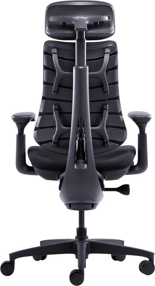 LiberNovo Omni Dynamic 45cm juoda