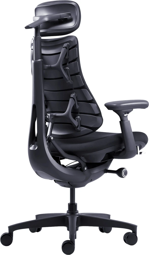 LiberNovo Omni Dynamic 45cm juoda