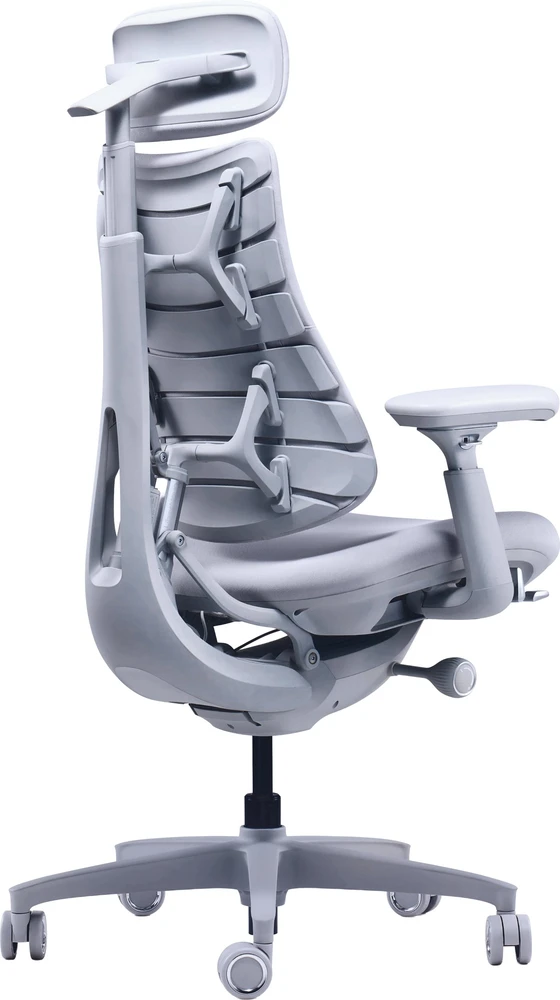 LiberNovo Omni Dynamic 45cm pilka