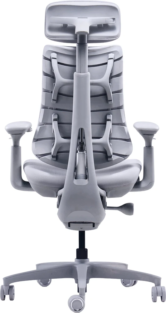 LiberNovo Omni Dynamic 45cm pilka