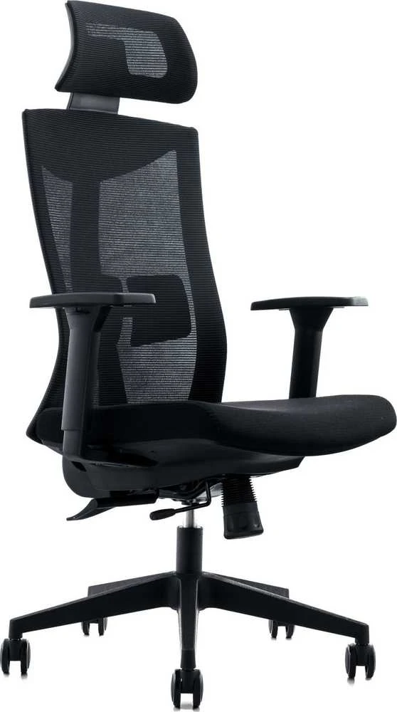 MOZOS ERGO-F FOTEL ERGONOMICZNY BIUROWY SUKAMASIS