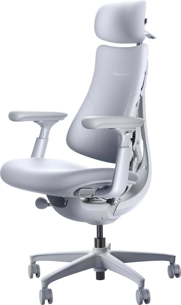 Biuro kėdė LiberNovo Omni Dynamic Szare