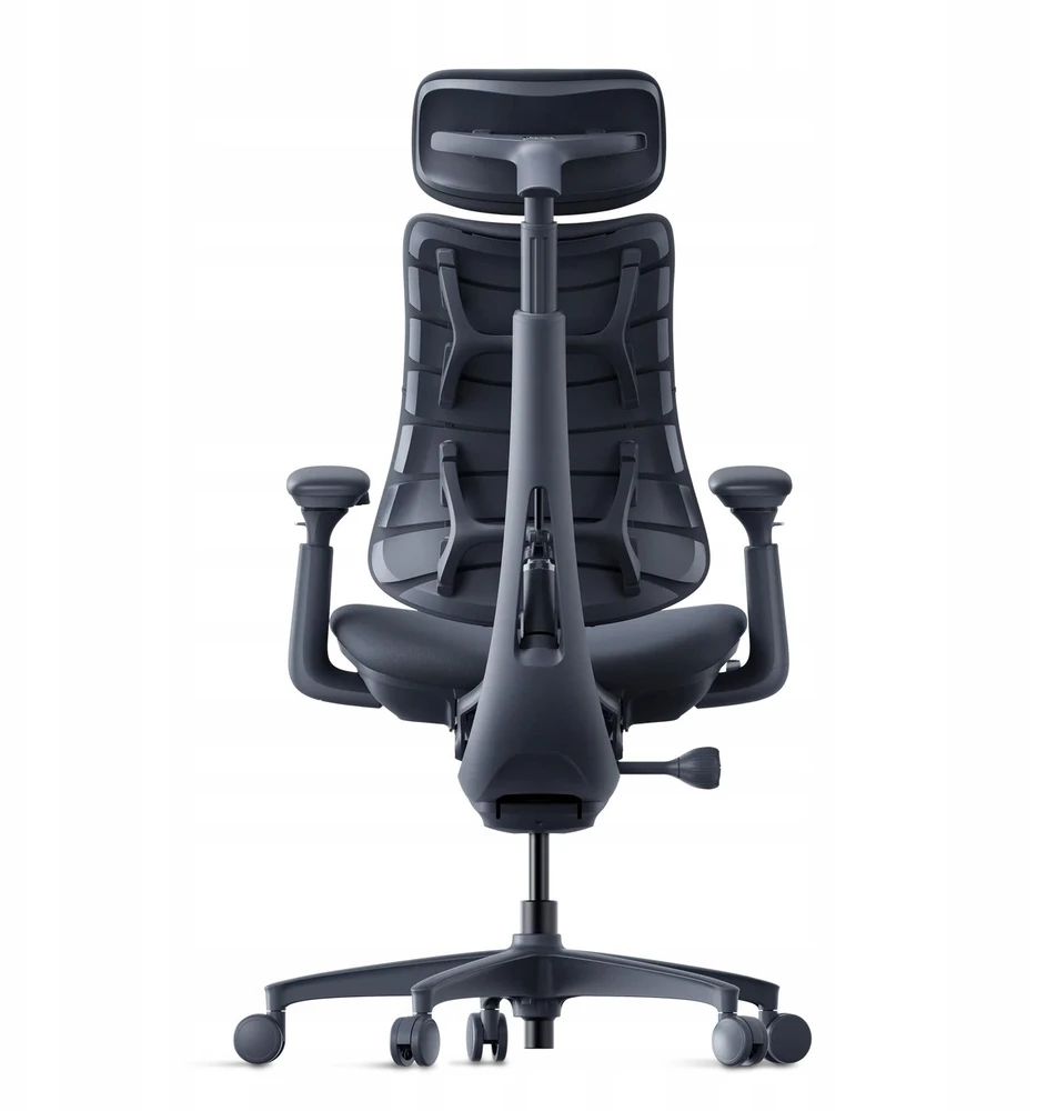 LiberNovo Omni 45 cm Ergonomic Chair (Juodas)