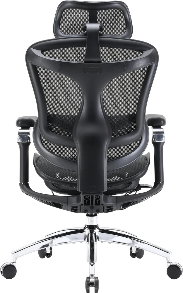 Biuro kėdė Sihoo DORO C300 Pro Mesh, Juoda