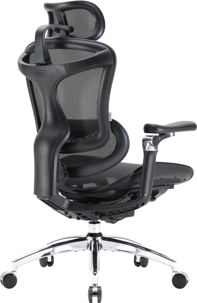 Biuro kėdė Sihoo DORO C300 Pro Mesh, Juoda