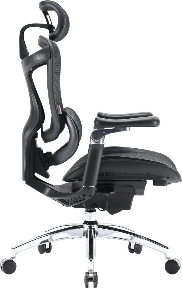 Biuro kėdė Sihoo DORO C300 Pro Mesh, Juoda