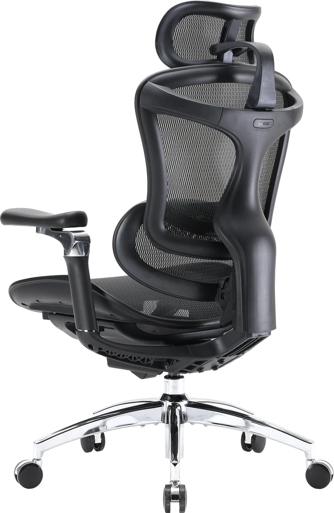 Biuro kėdė Sihoo DORO C300 Pro Mesh, Juoda