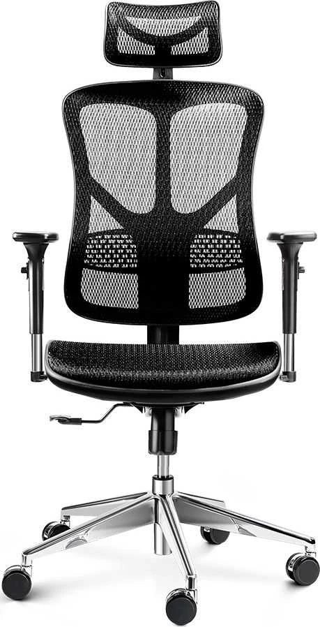 Ergonominė kėdė Diablo V-Basic Normal Ergonomic Chair, Juodos spalvos
