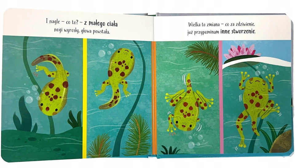 Bkids Morex Mano pasaulis varlė 14874