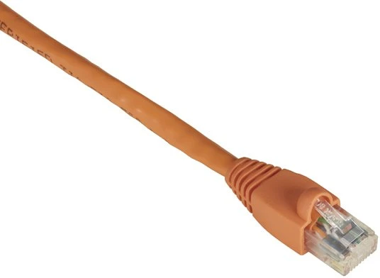 Black Box Juodas Box Juodas Box CAT6 Snagless oranžinis 10FT (EVNSL649-0010)