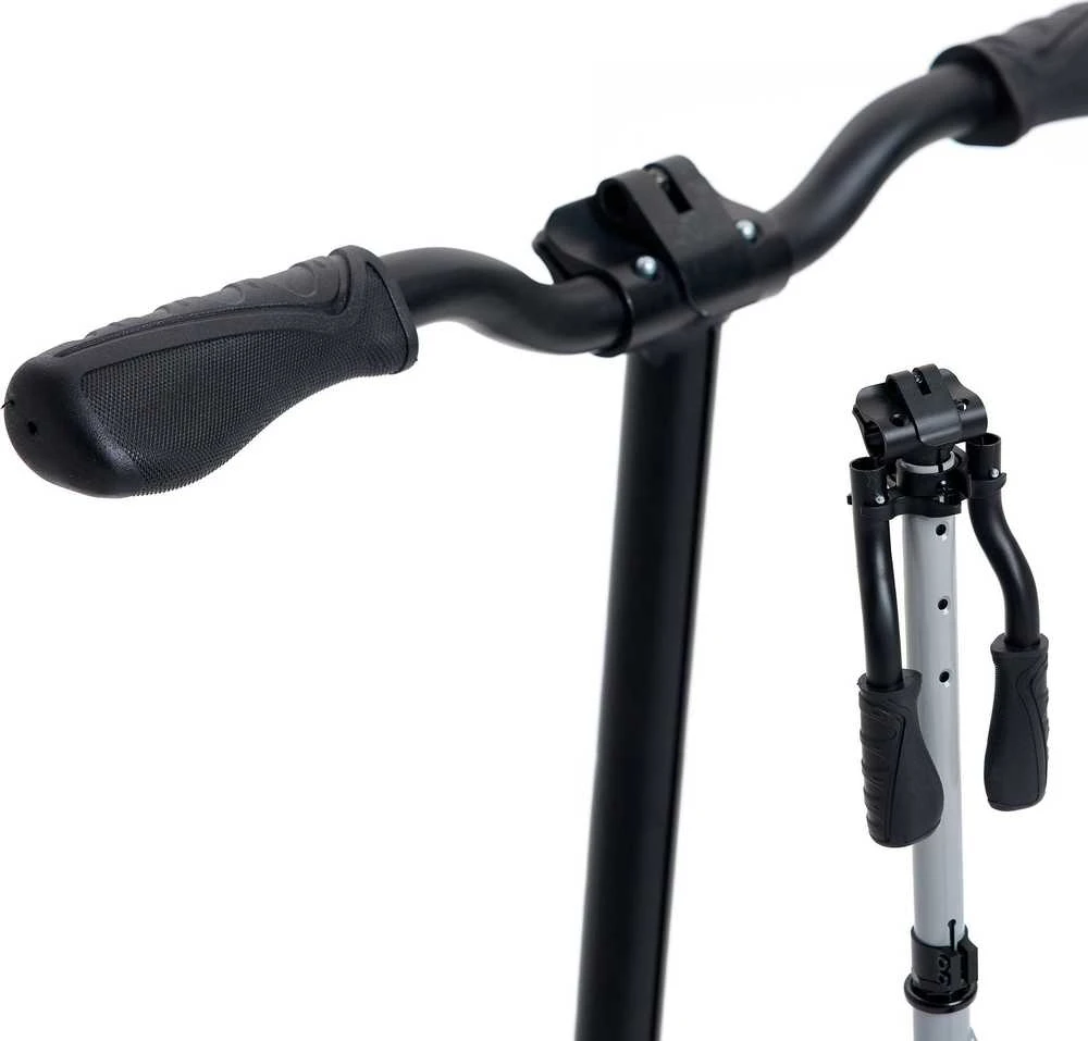 Paspirtukas Blackwheels Zoom Pilka (5902659843753)