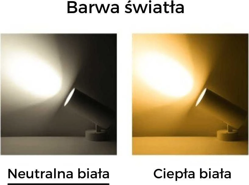 Blaupunkt lubinis šviestuvas Prožektorius BLAUPUNKT DRNW-12NW 12W