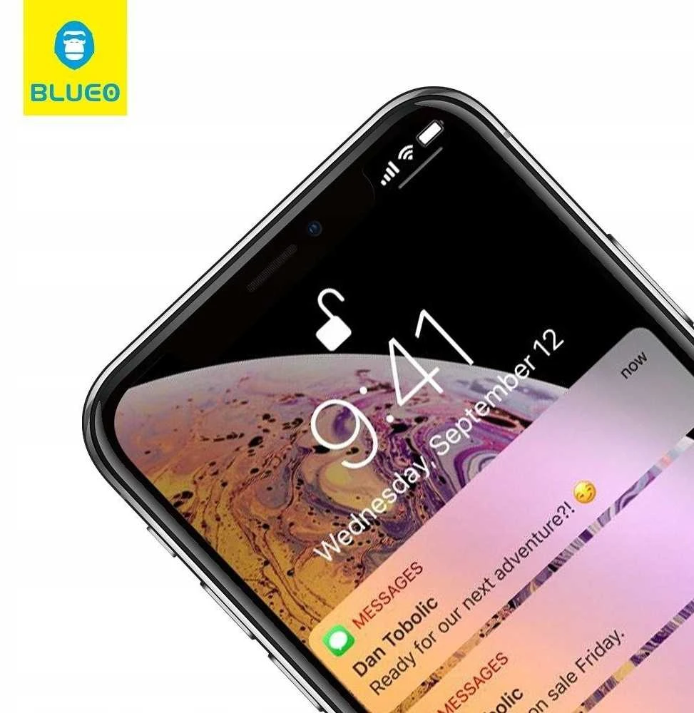 Blueo LCD apsauginis stikliukas 5D Mr. Monkey Glass (Strong Lite) Samsung S938 S25 Ultra juodas