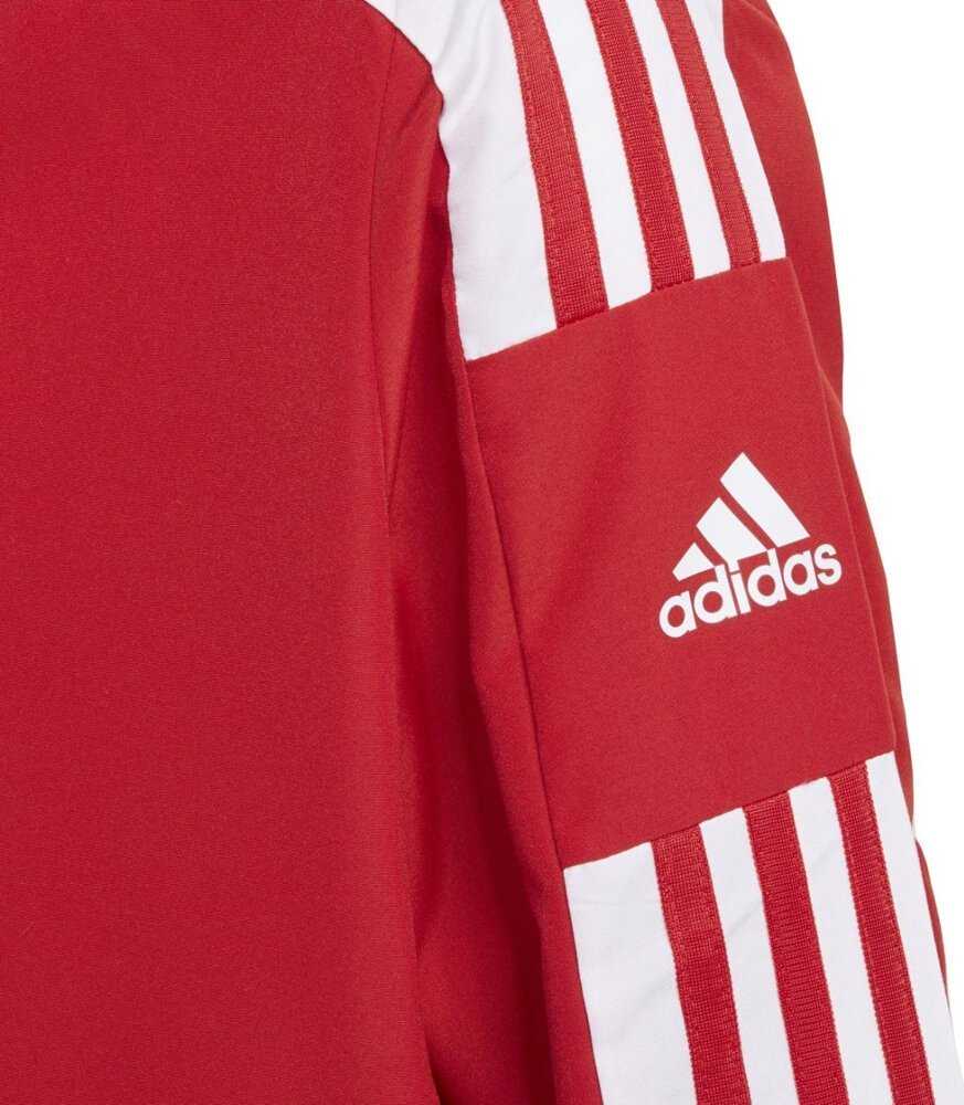 Bluza vaikams adidas Squadra 21 Presentation Jacket raudona GP6439 (164cm)