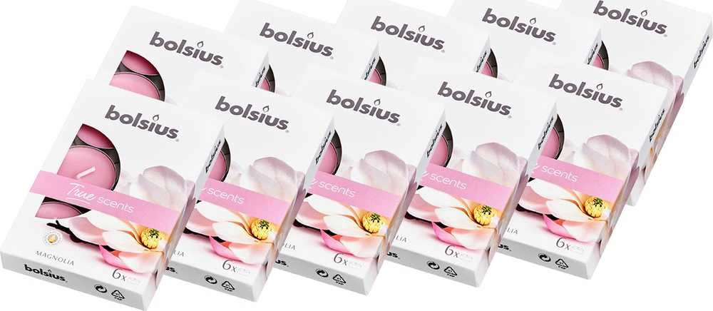 Bolsius BOLSIUS True Scents 4H kvapiosios žvakutės, 60 vnt. MAGNOLIA