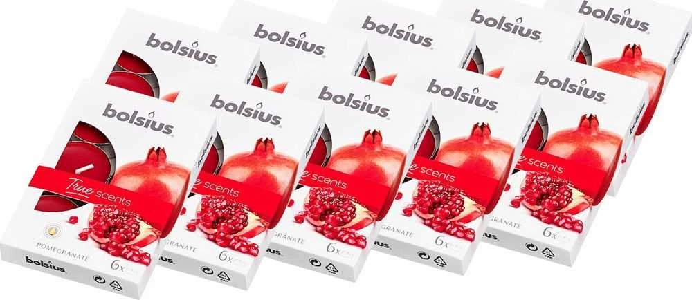 Bolsius BOLSIUS True Scents 4H kvapiosios žvakutės 60 vnt. GARANE