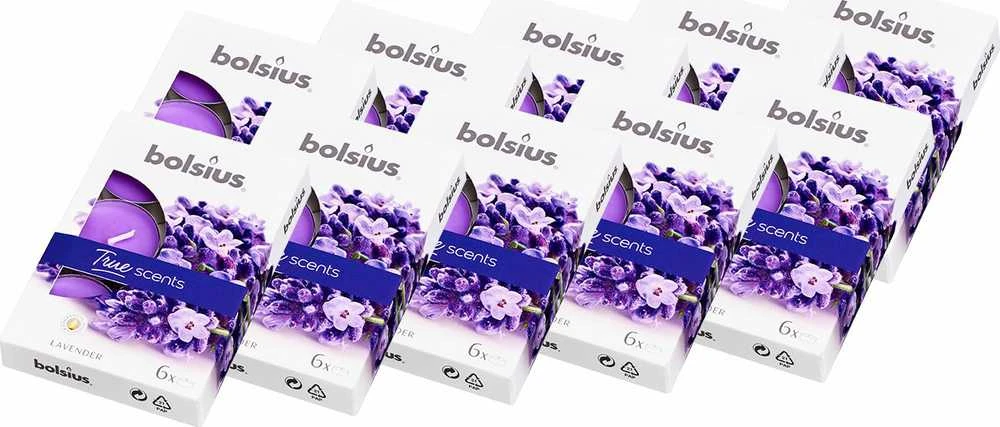 Bolsius BOLSIUS „True Scents 4H“ kvapiosios žvakutės, 60 vnt. LEVANDŲ