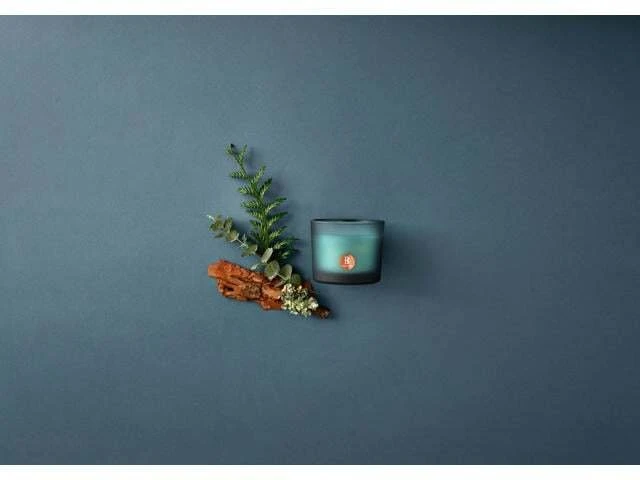 Žvakė, aromatinė Bolsius TRUE JOY Woody Wellness, 21 h
