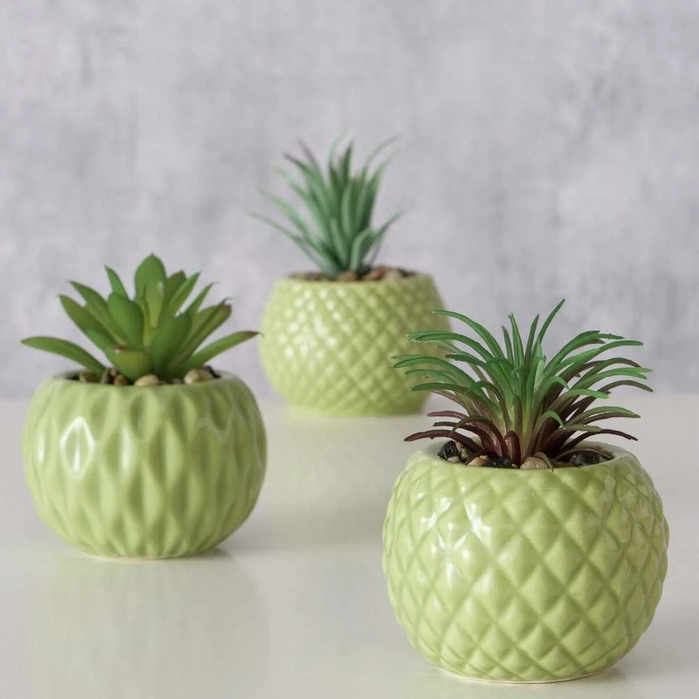 Boltze Dirbtinis sukulentas vazonėlyje MALUHA, 10,5 cm