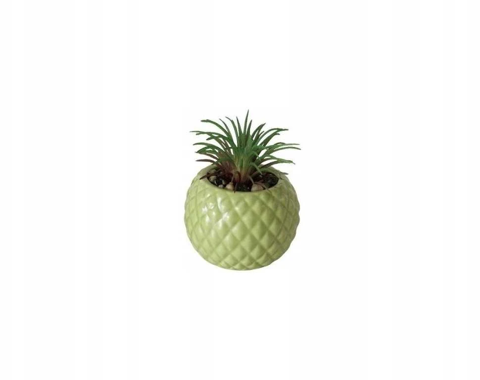Boltze Dirbtinis sukulentas vazonėlyje MALUHA, 10,5 cm