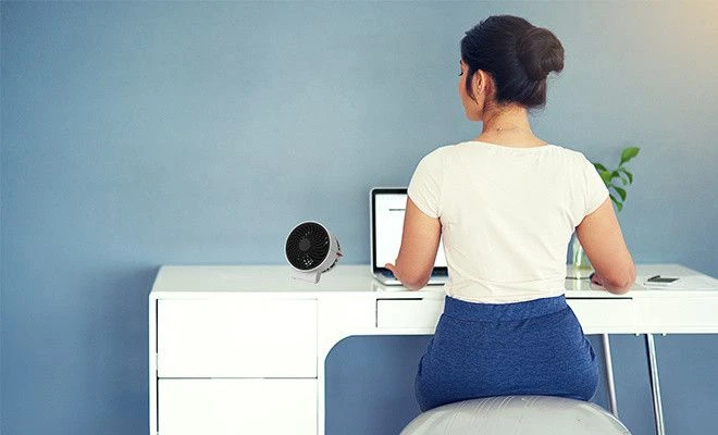 „Boneco Table F50“ USB ventiliatorius (11895)