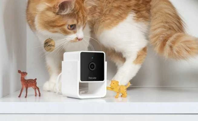 PetCube Cam