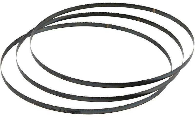 Bosch Juostelės pjūklas CB4418, 2 vnt.