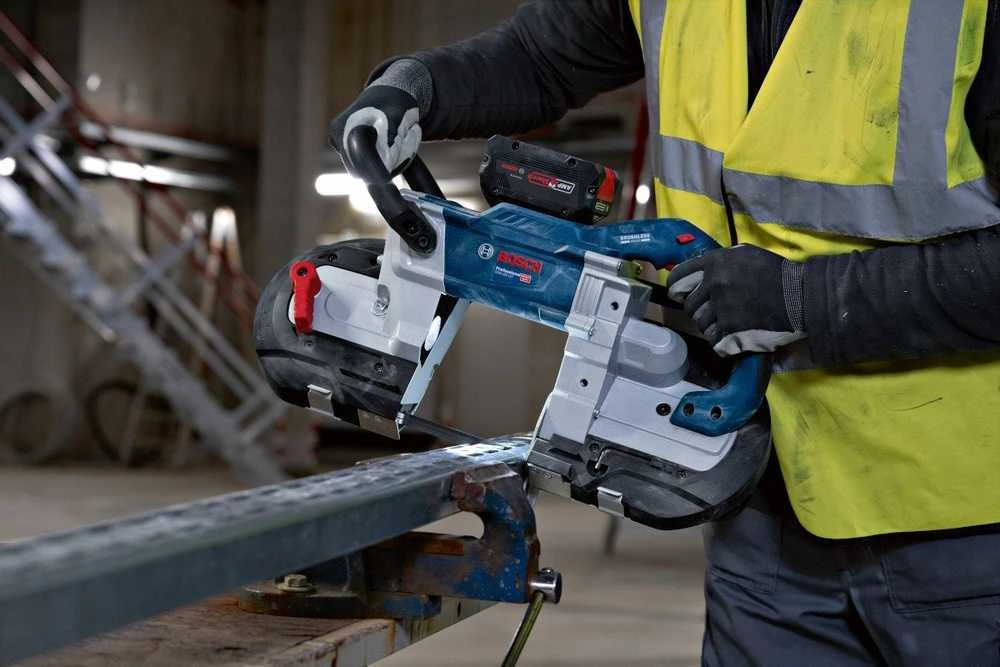 Bosch Juostelės pjūklas CB4424, 2 vnt.