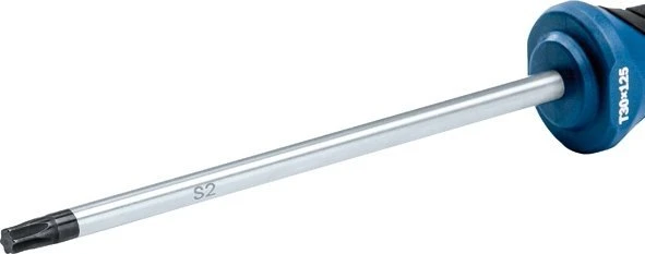 Bosch Atsuktuvas TX30 x 125mm