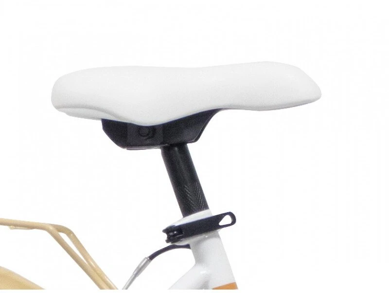 Dviratis miesto Bottari Parma Parma 77040, 24 „