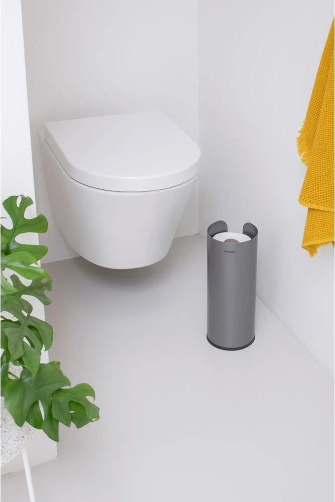 Brabantia Tualetinio popieriaus laikiklis ReNew - Platinum