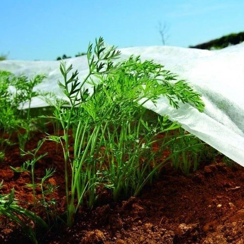 Bradas Balta pavasarinė agrotekstilės plėvelė 1,1 x 5 m 17 g AWW1711005