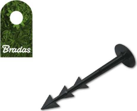 Bradas SZPILKA DO AGROTKANIN 12cm /50szt.