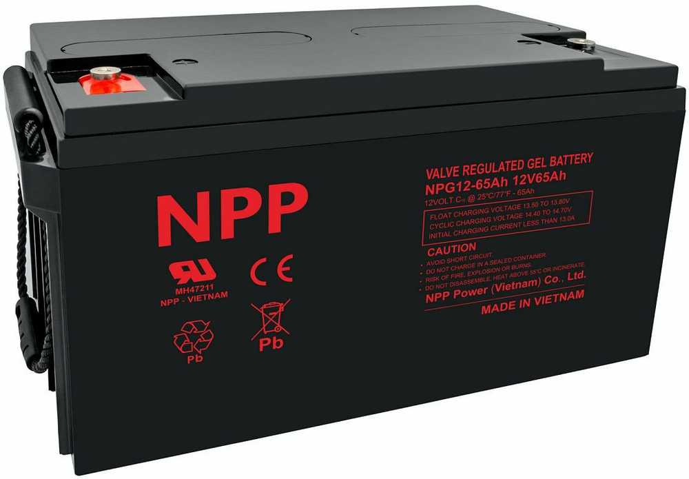 Akumuliatorius 12V 65Ah, Pb GEL (želinis) T14(M6) NPP