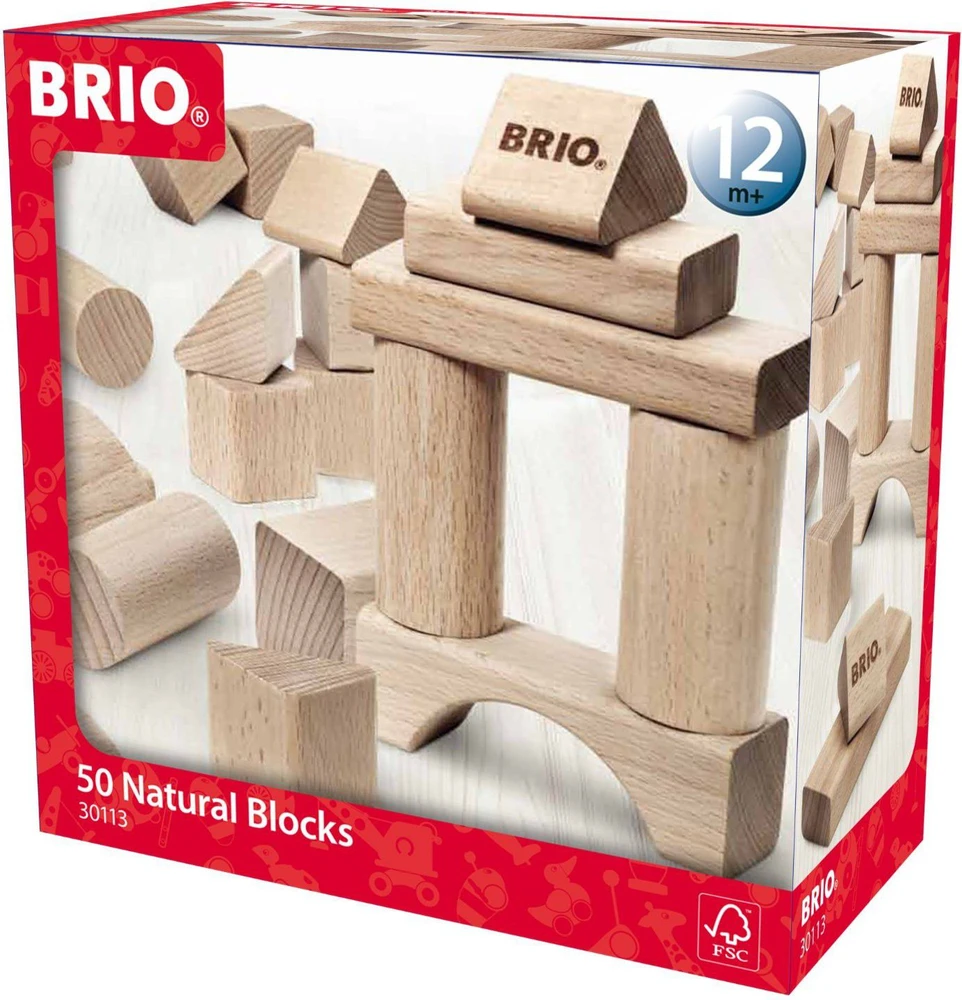 „Brio Rinkinys“ statybiniai blokeliai (30113)