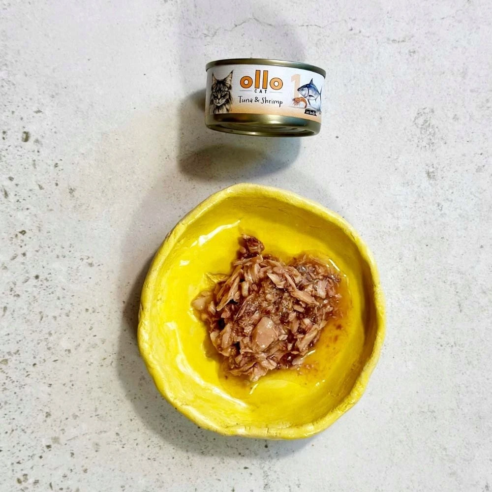 OLLO Cat nr 1 Tuna & Shrimp in broth – šlapias kačių maistas – 70g