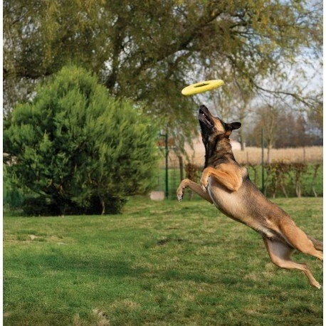 Buba Zeus Nitro, dysk do rzucania, žaislas, šuniui, 24 cm